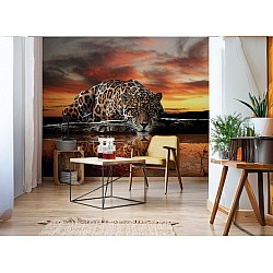 Animals and Birds Wall Murals