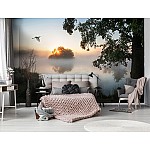 Landskap Natur Sjö Dimma Landskap Natur Sjö Dimma