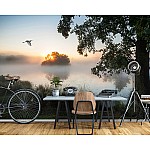 Landskap Natur Sjö Dimma Landskap Natur Sjö Dimma