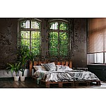 Fototapet med murgröna fönsterimitation