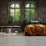 Fototapet med murgröna fönsterimitation