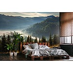 Landscape Nature Mountain Forest