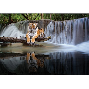 Fototapet "Fondvägg Natur Vattenfall Tiger Djungel"