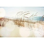 Sandig Strand & Dyner