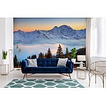 Landscape Mountain Snow Forest Landscape Mountain Snow Forest