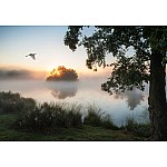 Landskap Natur Sjö Dimma Landskap Natur Sjö Dimma