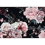 Nature Flowers Roses Painting Nature Flowers Roses Painting