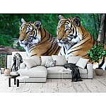 Fototapet Two Tigers Fototapet Two Tigers