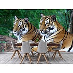 Fototapet Two Tigers Fototapet Two Tigers