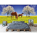 Fototapet hästar och blommande körsbärsträd Fototapet hästar och blommande körsbärsträd