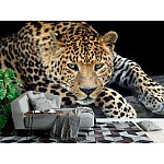 Fototapet Wild Leopard
