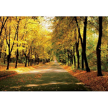 Solig Dag I Park Med Färgrika Höstträd