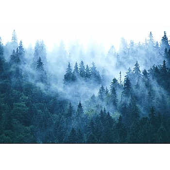 Misty Mountain Landscape