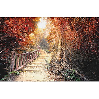 Fantasiskog På Hösten