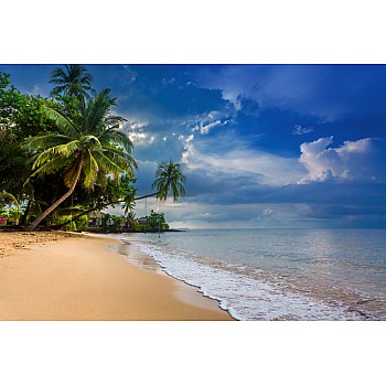 Fototapet "Palmer och strandhus på den tropiska stranden"