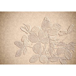 Decorative Wall Mural Fall Leaves (3305235RP)