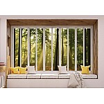 Solsensskogsfönster