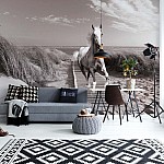 Fototapet "Vit Häststrand Svartvitt" Fototapet Vit Häststrand Svartvitt