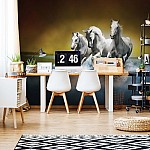 Fototapet "Hästar Bakgrundsbild" Fototapet Hästar Bakgrundsbild