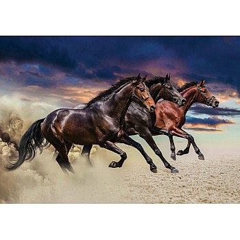 Fototapet "Galopperande Hästar"  