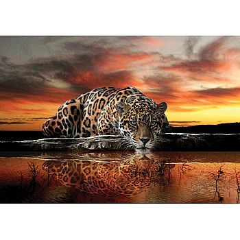 Leopard fototapet 
