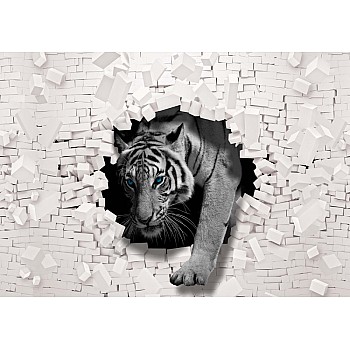 Fototapet "Tiger 3D Hål I Tegelvägg"  