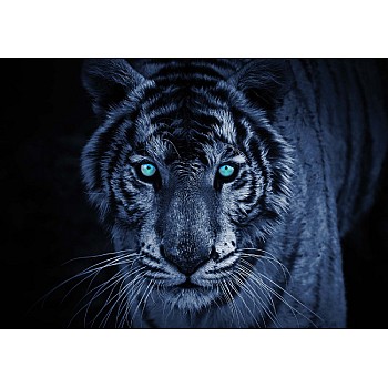 Fototapet "Tigerblått"  