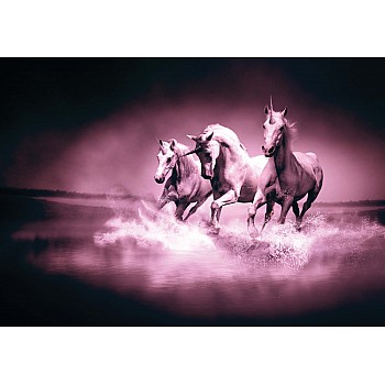 Fototapet "Unicorn Hästar Rosa"  