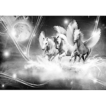 Fototapet "Vinghästar Pegasus Svartvitt"  