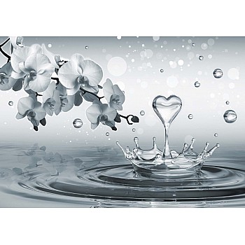 Vattendroppe Hjärta Med Blommor