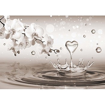 Sepia Vattendroppe Hjärta Blommor