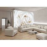 Mjuk Vit Ros Mjuk Vit Ros