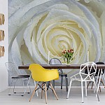 Rosa & Vit Blomma Rosa & Vit Blomma