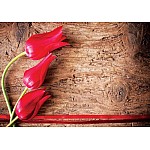 Blommor på Trä