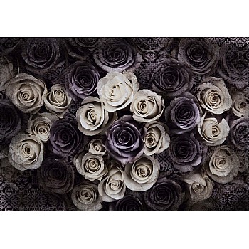 Gotiska Rosor Mörk Lila