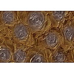 Grå Rosor Abstract Struktur