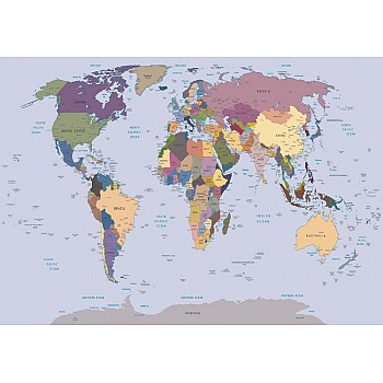 Political World Map