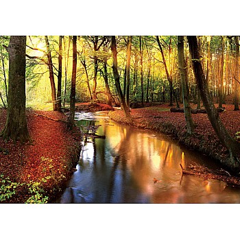 Höst Skog Flod Natur