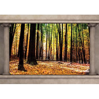 Höst Skog Roman Kolumn Visa