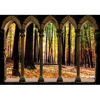 Höst Skog Stenbana Se