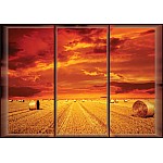 Landskapsfältfönster fototapet