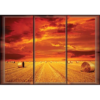 Landskapsfältfönster fototapet 