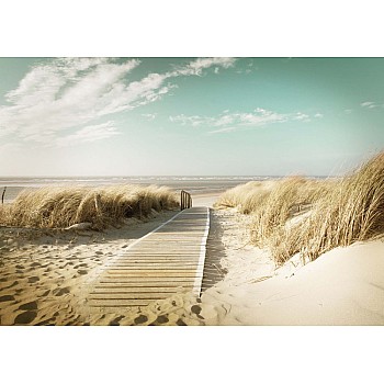 Pastellfärgad Sanddynerstig