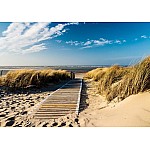 Kustpromenad Bland Sanddyner