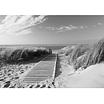 Kustpromenad Svartvit