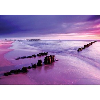 Lila Solnedgång Vid Havet