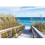 Vit Sandstig Vid Sylt Strand