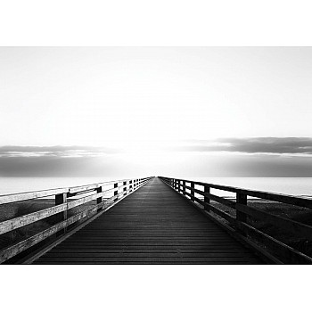 Svartvit Pir Vid Havet