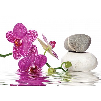 Orkidé Spa Stenar