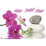 Zen Spa Ro Zen Spa Ro